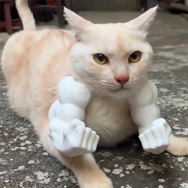 Muscle Cat Arms