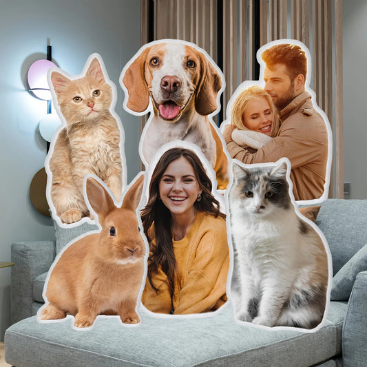 Meme Pet Pillows