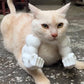 Muscle Cat Arms