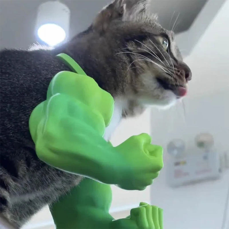Muscle Cat Arms